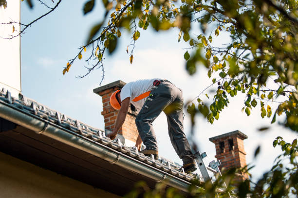 Best Roof Ventilation Installation  in Yulee, FL